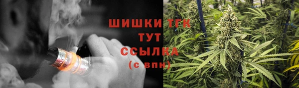 ГАЛЛЮЦИНОГЕННЫЕ ГРИБЫ Новодвинск