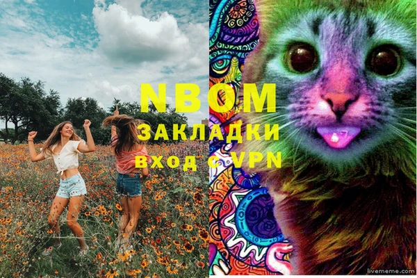 альфа пвп Новокубанск