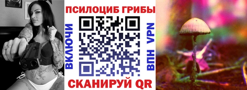 Псилоцибиновые грибы Cubensis Островной